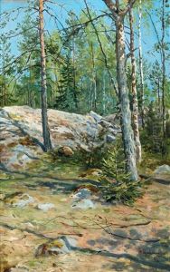 View From The Woods