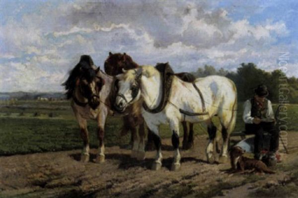Rust Op Het Veld - view 1