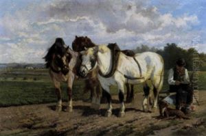 Rust Op Het Veld
