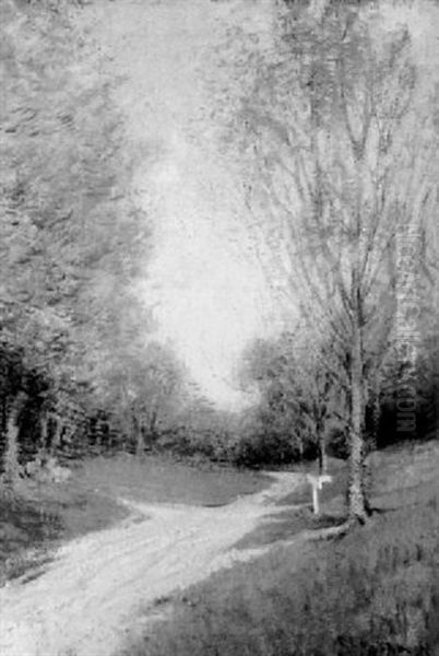 Country Lane In Summer - view 1