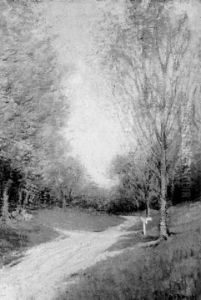 Country Lane In Summer