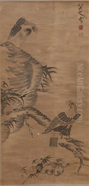Eagles Perched On Branch And Rock Formation - view 1