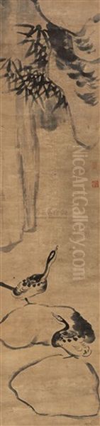 Duck - view 1