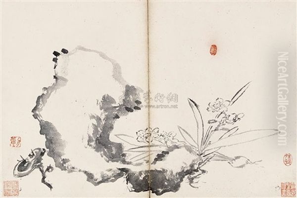 Narcissus - view 1