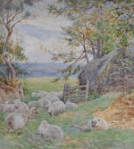 Sheep By A Gateway