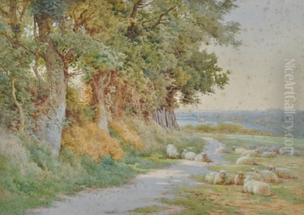 Watercolour,
Sheep At The Edge Of The Field - view 1