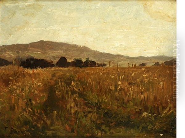 Landscape - view 1