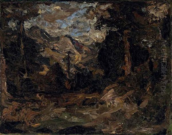 Weite Baumlandschaft - view 1