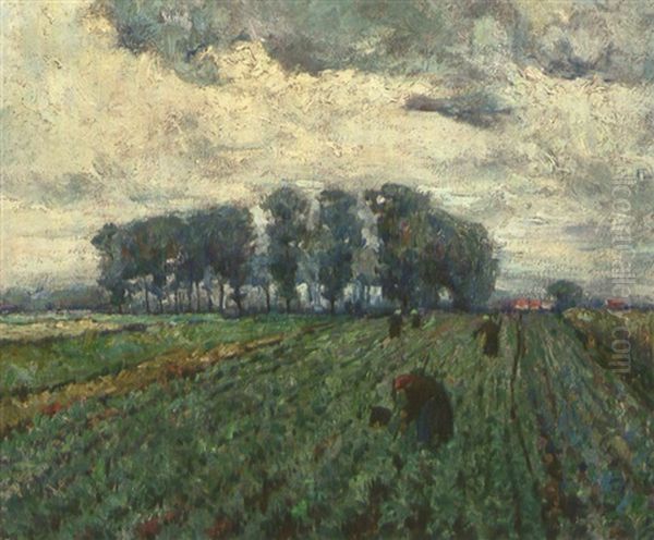 Krauternte - view 1