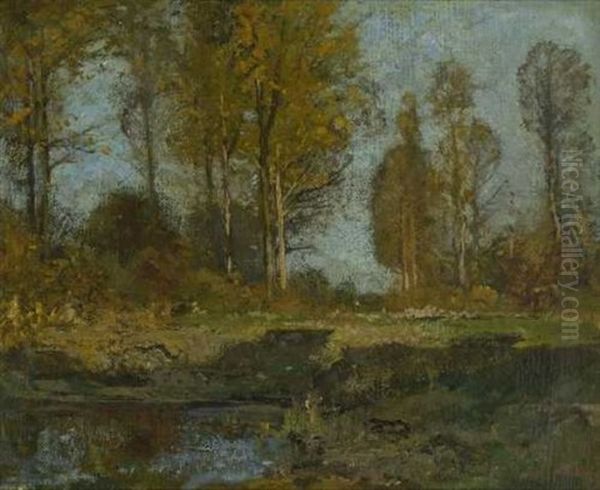 Herbstliche Moorlandschaft - view 1