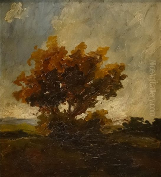 Autumn - view 1