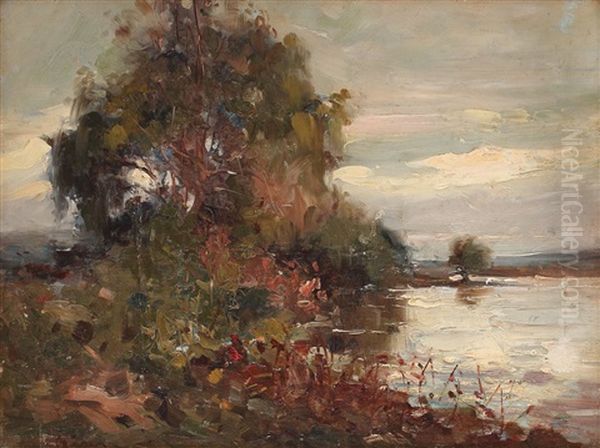 Peisaj Lacustru - view 1