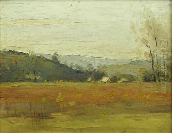 Rural Landscape - view 1