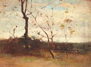 Spring Landscape Spring Landscape