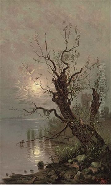 A Tree On The Banks Of A Moonlit Lake - view 1