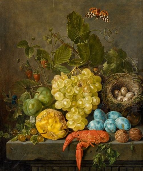 Crab, Insects And A Bird's Nest On A Stone Table - view 1