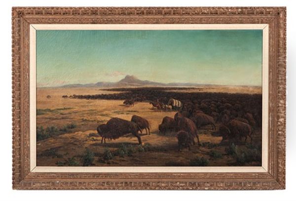Buffalo Trail - view 1