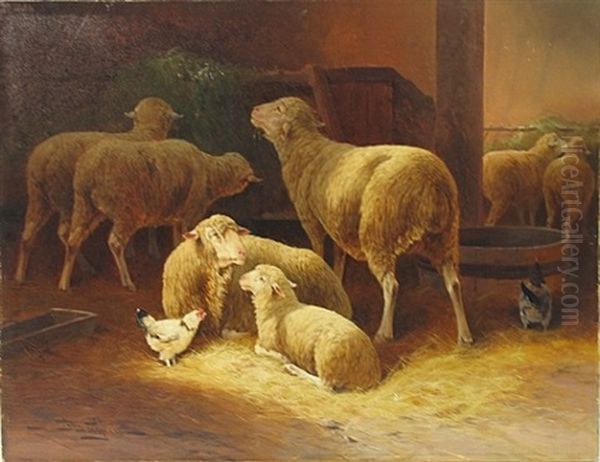 Sheep And Chickens In A Stable - view 1