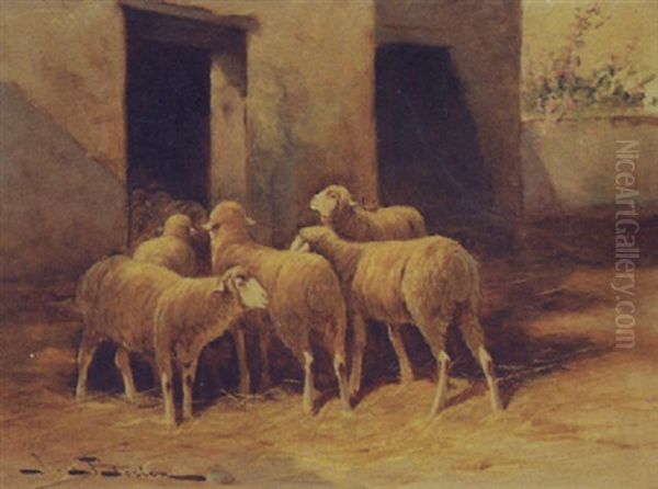 Flock Of Sheep In The Barnyard - view 1