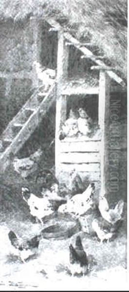 Chickens Feeding - view 1