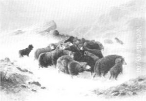 Sheep In A Snowstorm