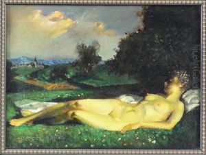 Liegender Weiblicher Akt Auf Einer Wiese Vor Landschaft