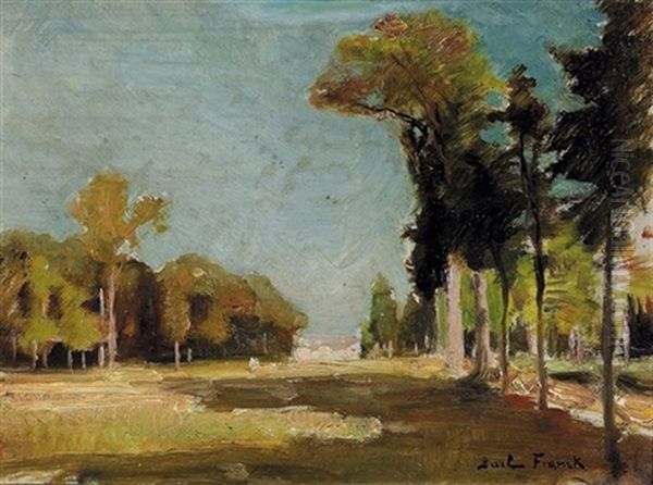 Baumgruppe In Sommerlicher Landschaft - view 1