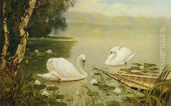 Swans On A Lake By A Birch Tree - view 1