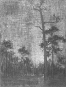 Bayou Landscape With Cypresses At Sunset