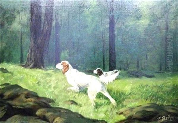 Pointers In A Wood - view 1
