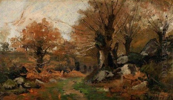 Foret En Automne - view 1