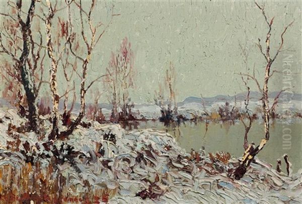 Winterlandschaft - view 1