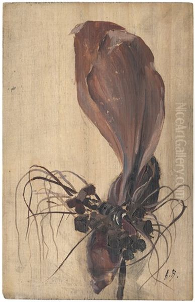 Studie Einer Orchidee - view 1