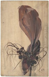 Studie Einer Orchidee by Alexandre Bailly