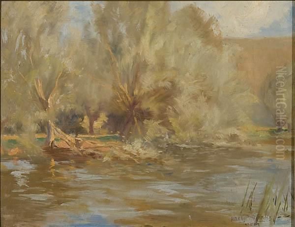 River Landscape - view 1