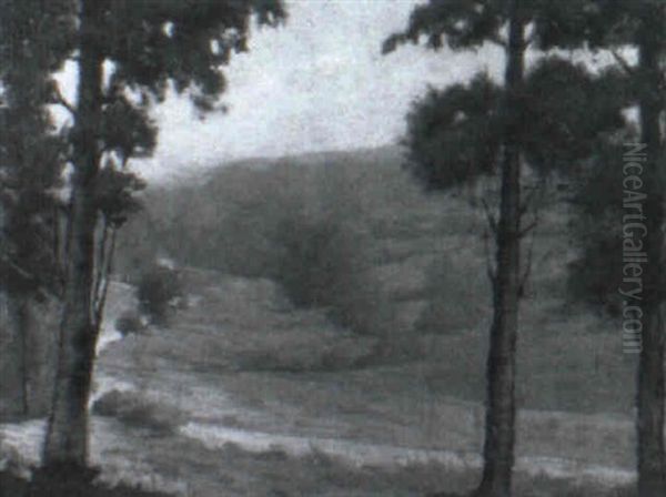 Through The Woods - view 1