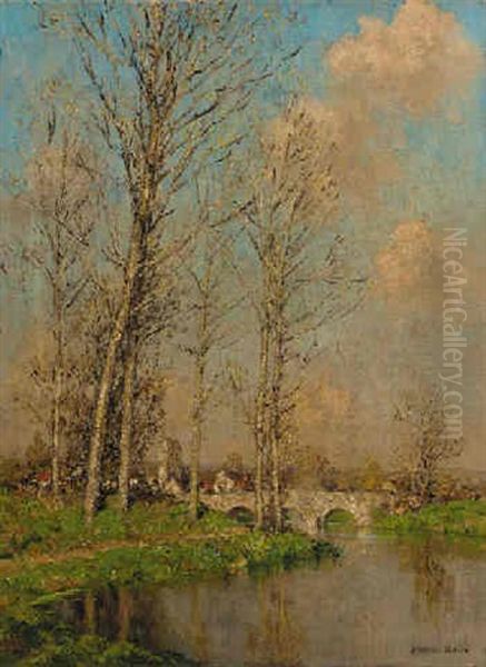 The Meandering River - view 1