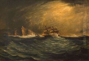 A South Easter Off The Cape by John Thomas Baines