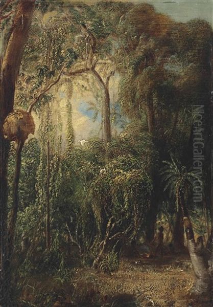 An Australian Rainforest With An Aboriginal Camp, Sulphur-crested Cockatoos, Parakeets And Other Birds In The Canopy - view 1