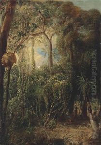 An Australian Rainforest With An Aboriginal Camp, Sulphur-crested Cockatoos, Parakeets And Other Birds In The Canopy