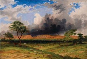 Gorge Of The Southern Branch Of Depot Creek And The Plain Over Which It Flows by John Thomas Baines