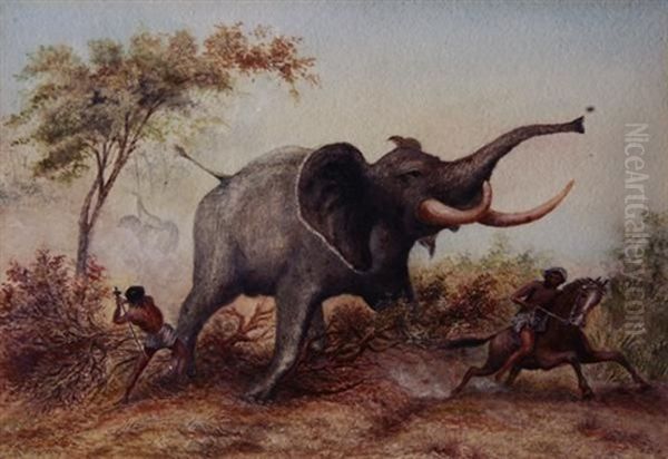 Elephant Hunting In Abyssinia - view 1