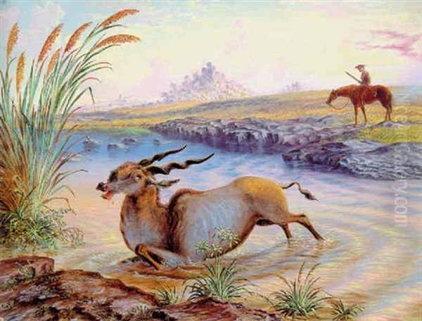 Eland Killed In Mangwe River, Matabili Land, August 5 1871 - view 1