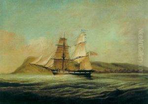 The "sarah Bell" Lying Off Port Natal