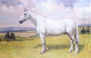 "skidaw Grey" by Nathaniel Hughes John Baird