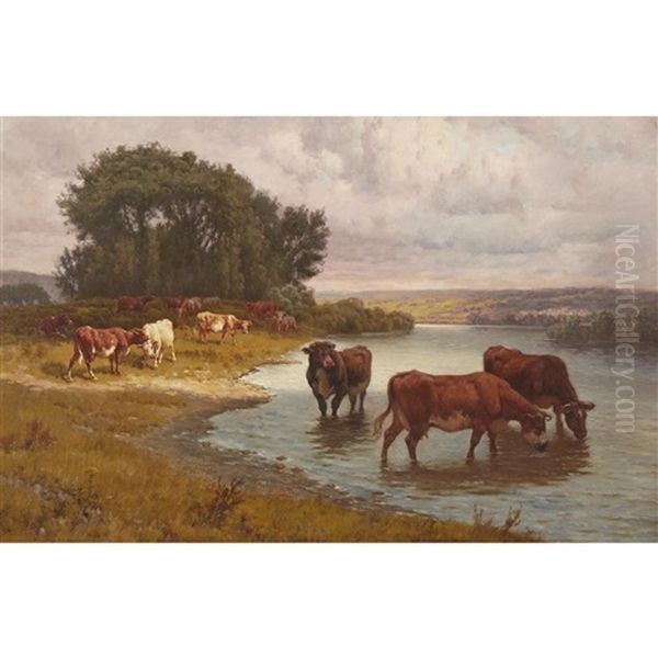 Cows Watering - view 1