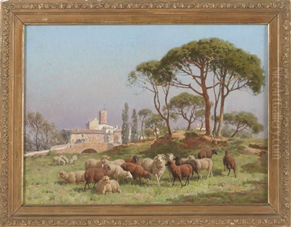 Sheep Grazing Outside A Mediterranean Town - view 1