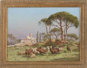 Sheep Grazing Outside A Mediterranean Town Sheep Grazing Outside A Mediterranean Town