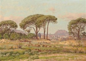 Blick Auf Frejus Und Den Felsen Von Roquebrune