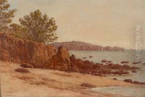 Le Lion De Terre Et La Plage De Saint-raphael